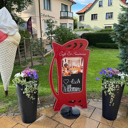 Cafe'Seestrasse Magdeburg Zewnętrze zdjęcie